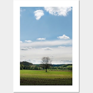 A lone tree in a field - Yorkshire, UK Posters and Art